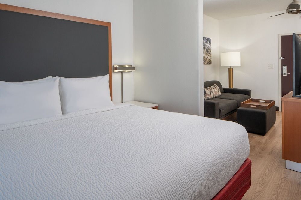 Studio, 1 King Bed with Sofa bed, Non Smoking (Mobility Accessible, Roll-In Shower)