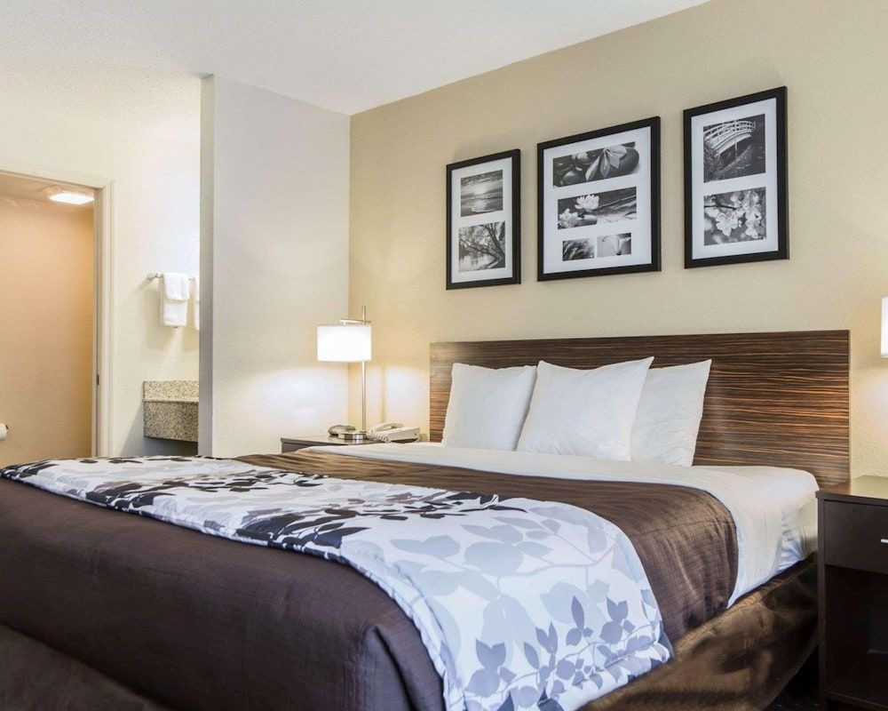 Standard Room, 1 King Bed, Non Smoking