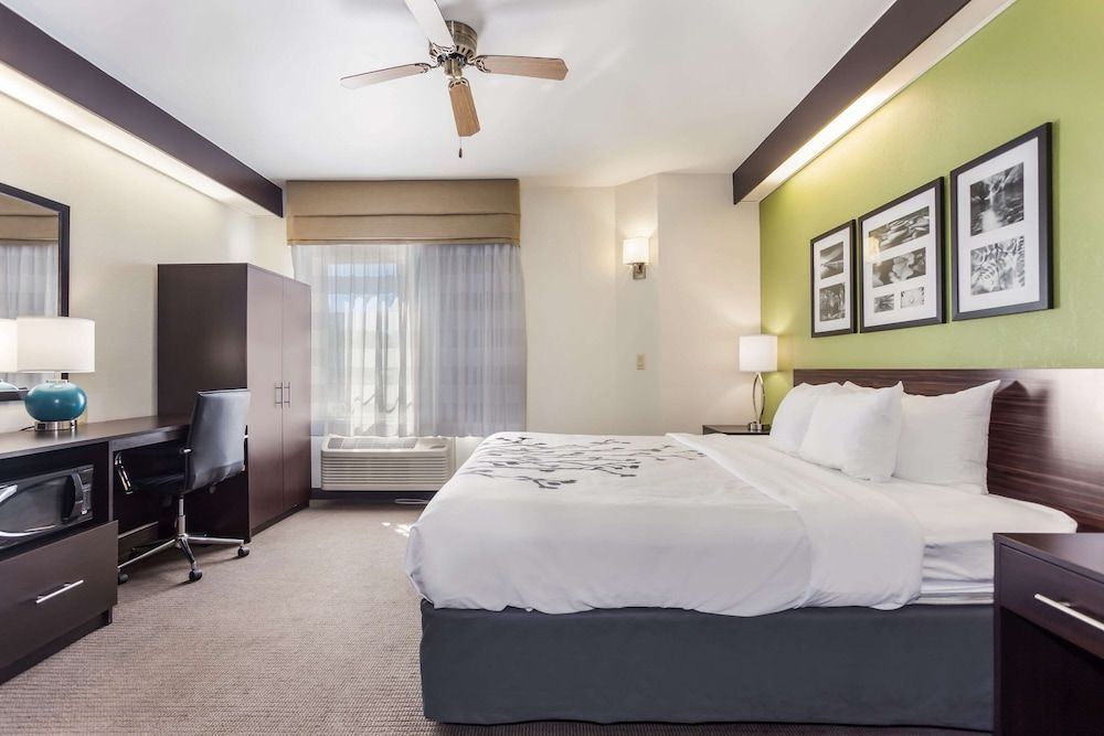 Room, 1 King Bed, Accessible, Non Smoking