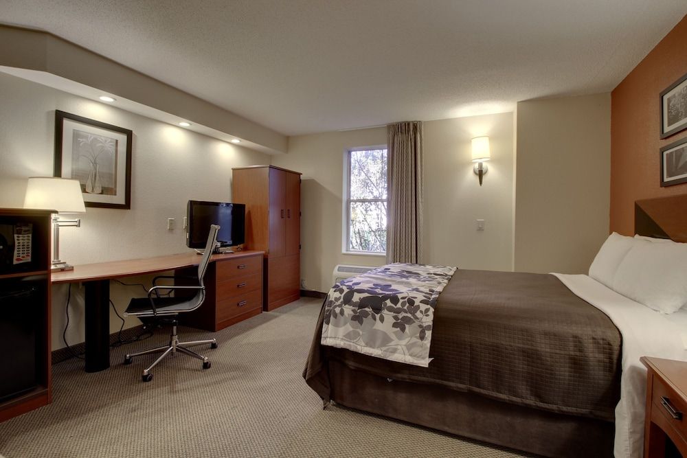 Room, 1 King Bed, Non Smoking