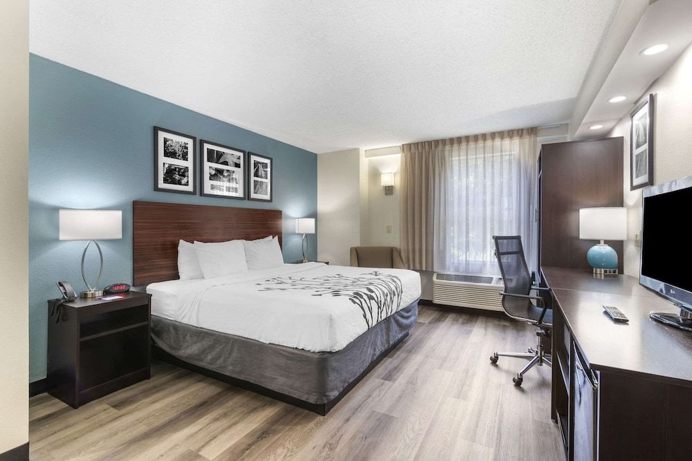 Room, 1 King Bed, Non Smoking