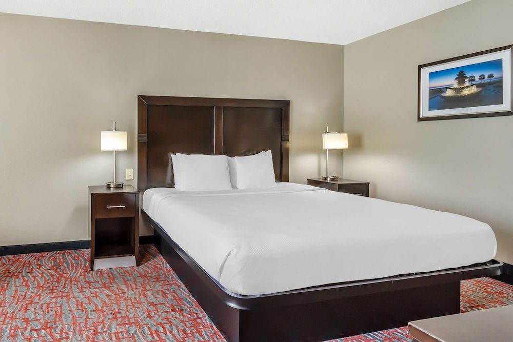 Standard Room, 1 King Bed, Non Smoking, Refrigerator & Microwave