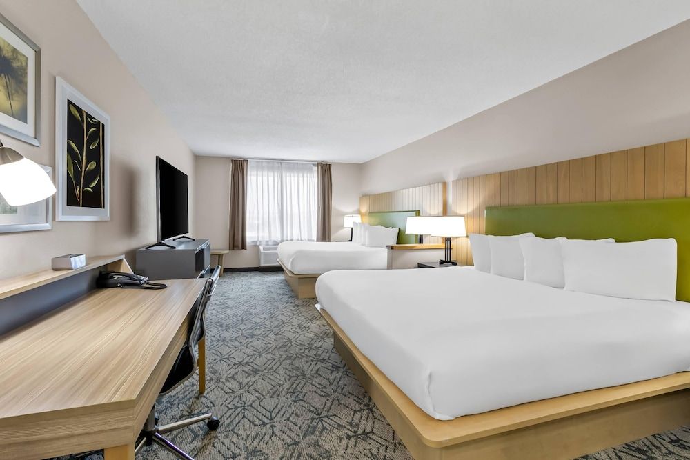 Room, Multiple Beds, Non Smoking (Efficiency)