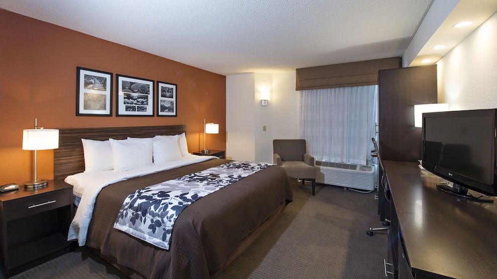 Standard Room, 1 King Bed, Non Smoking