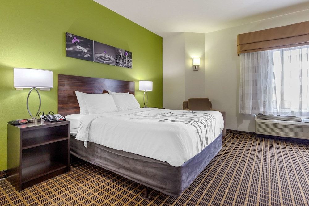 Standard Room, 1 King Bed, Non Smoking