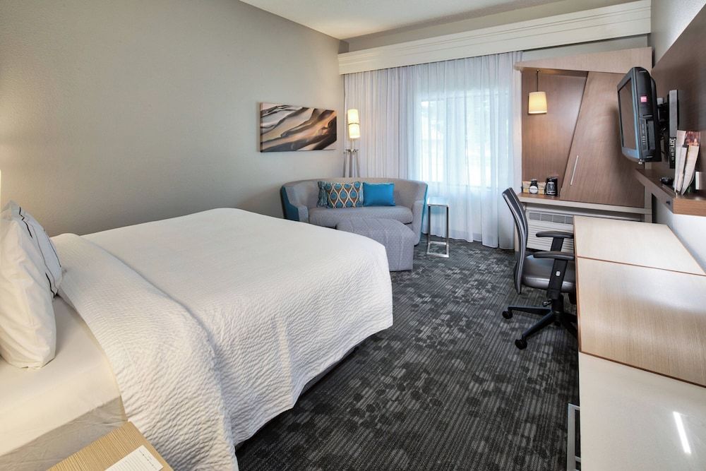 Room, 1 King Bed with Sofa bed