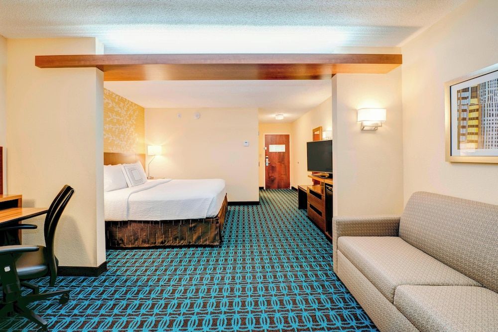 Suite, 1 King Bed with Sofa bed, Non Smoking