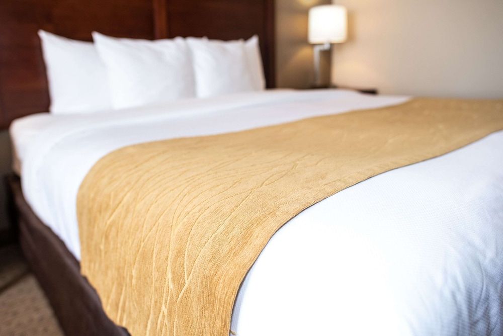 Room, 1 King Bed, Accessible, Non Smoking