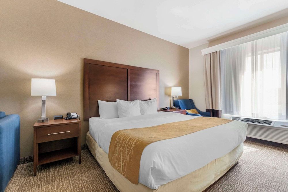 Room, 1 Queen Bed with Sofa bed, Accessible, Non Smoking
