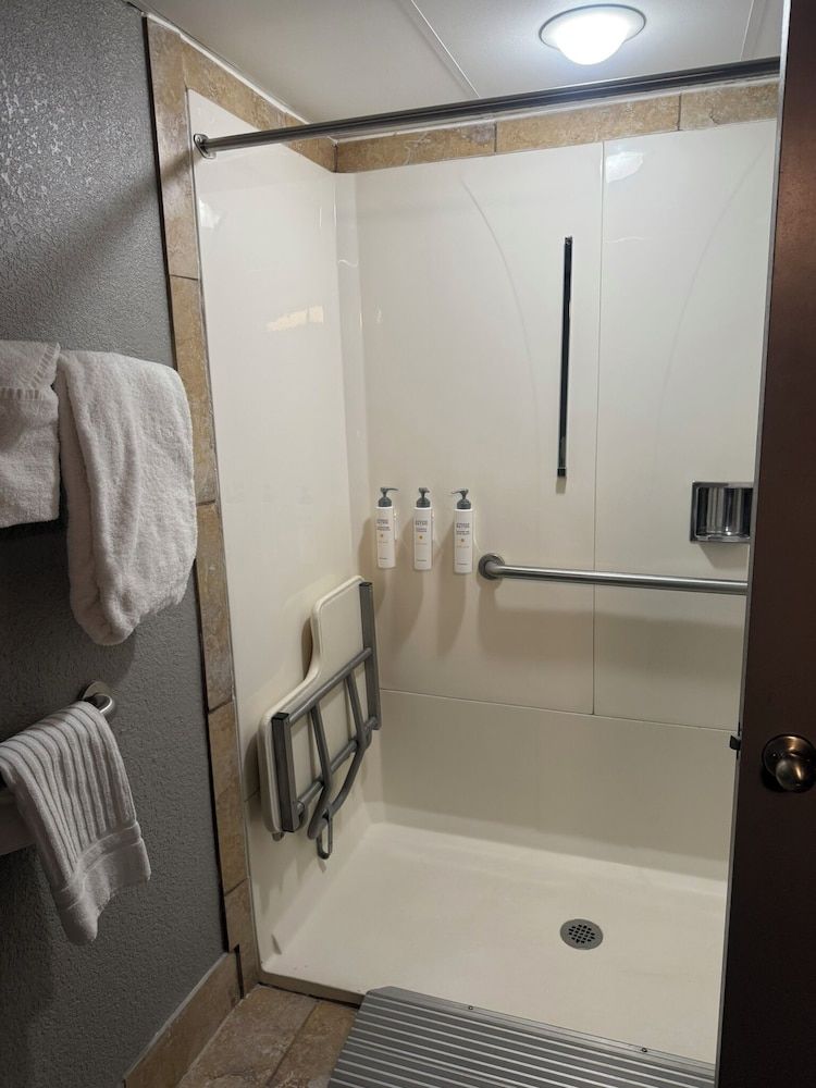 Room, 1 King Bed, Roll-in Shower