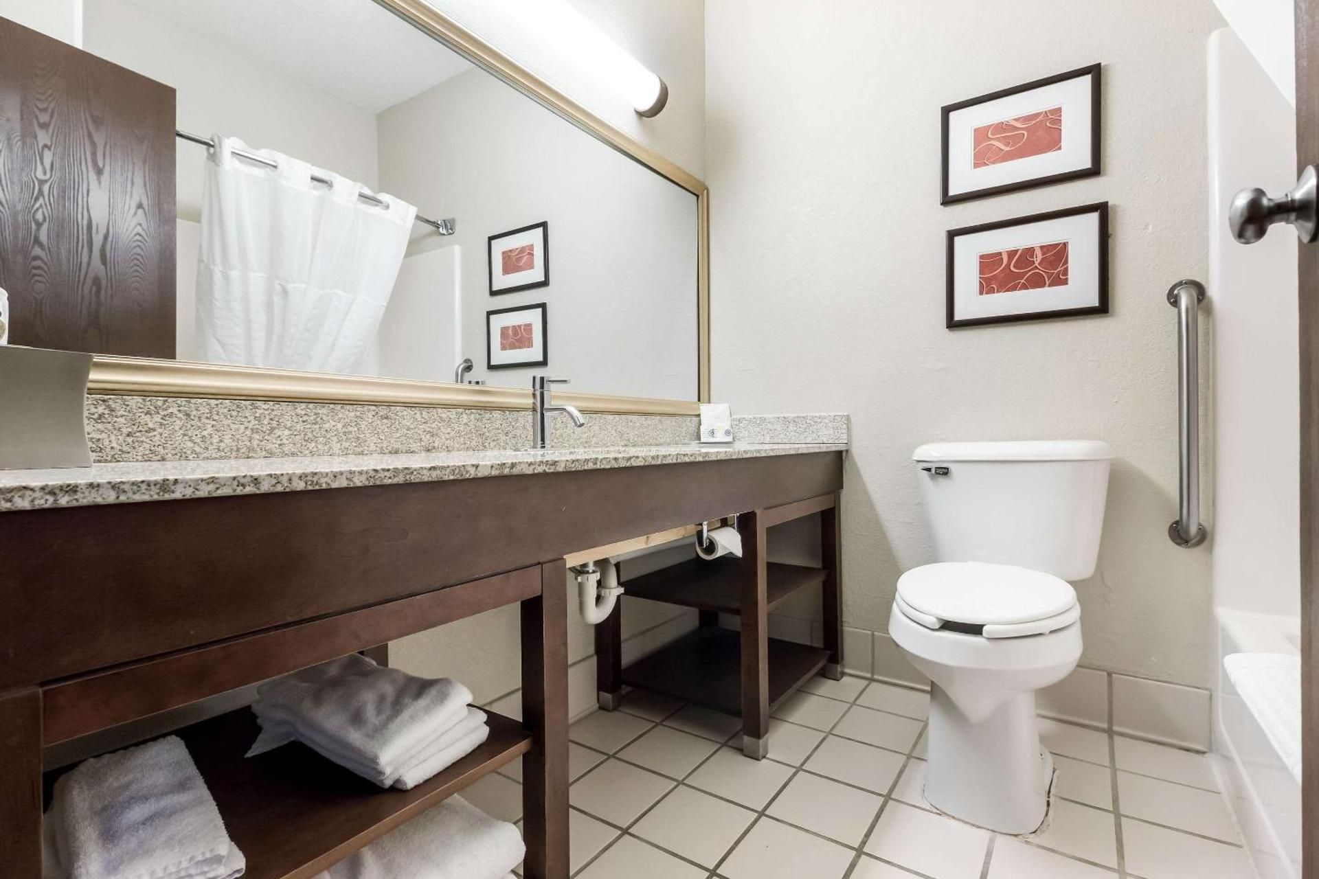 1 King Bed, Suite, Nonsmoking