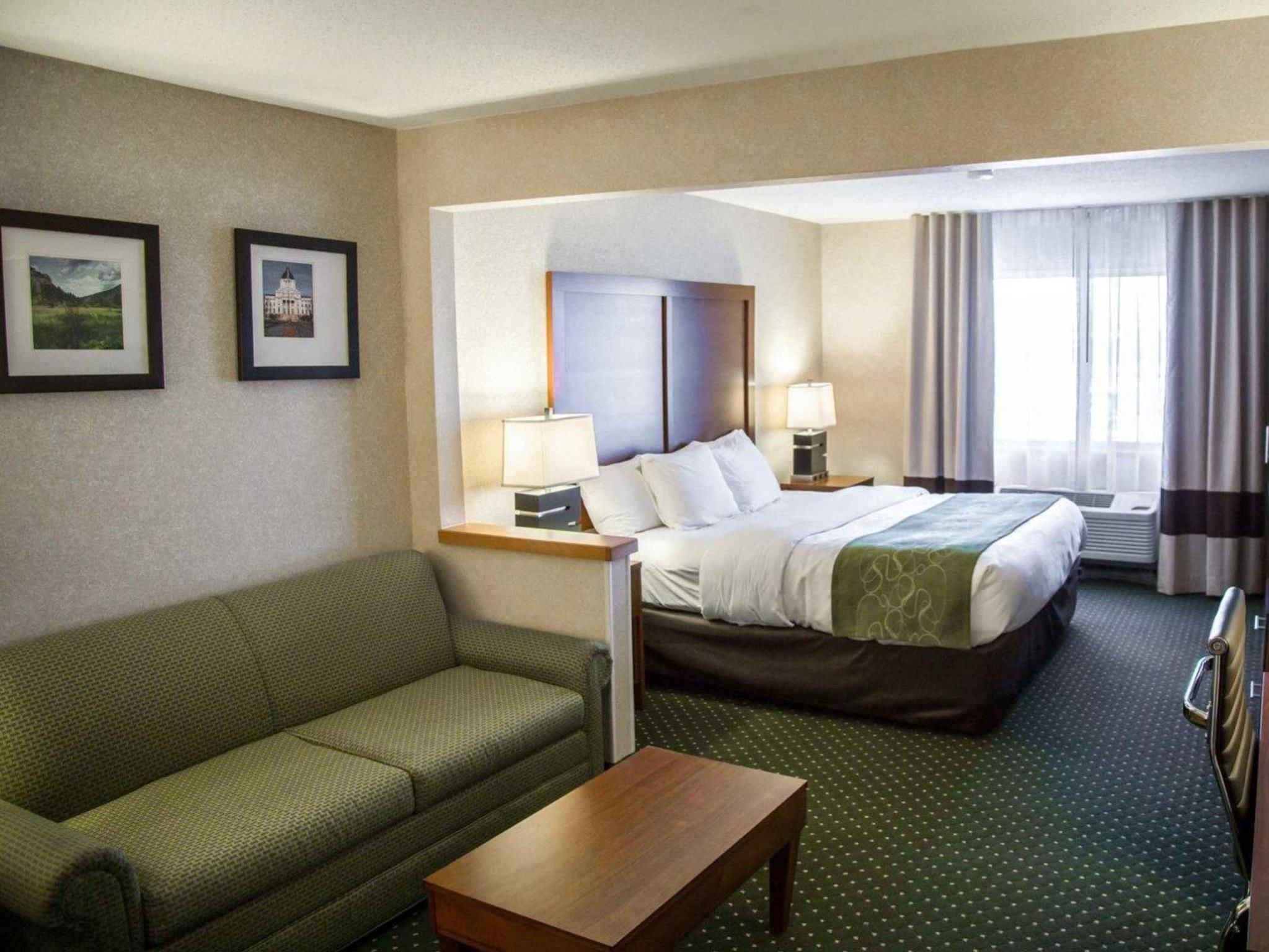 1 Bedroom Suite