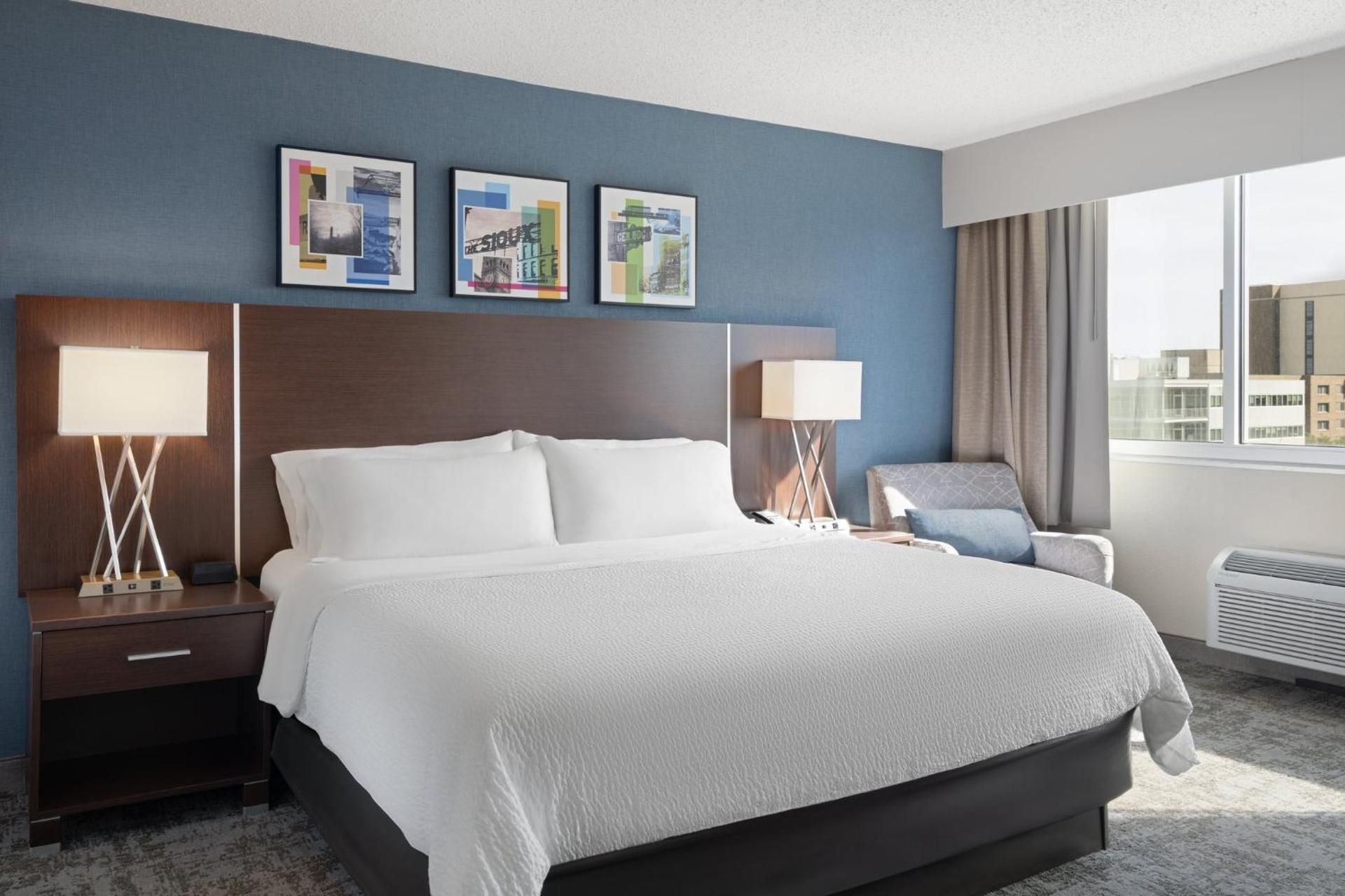 1 King 1 Bedroom Suite