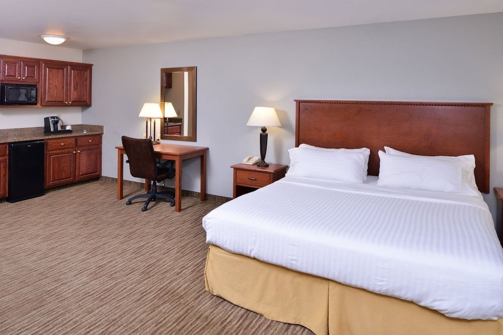 Suite, 1 King Bed with Sofa bed