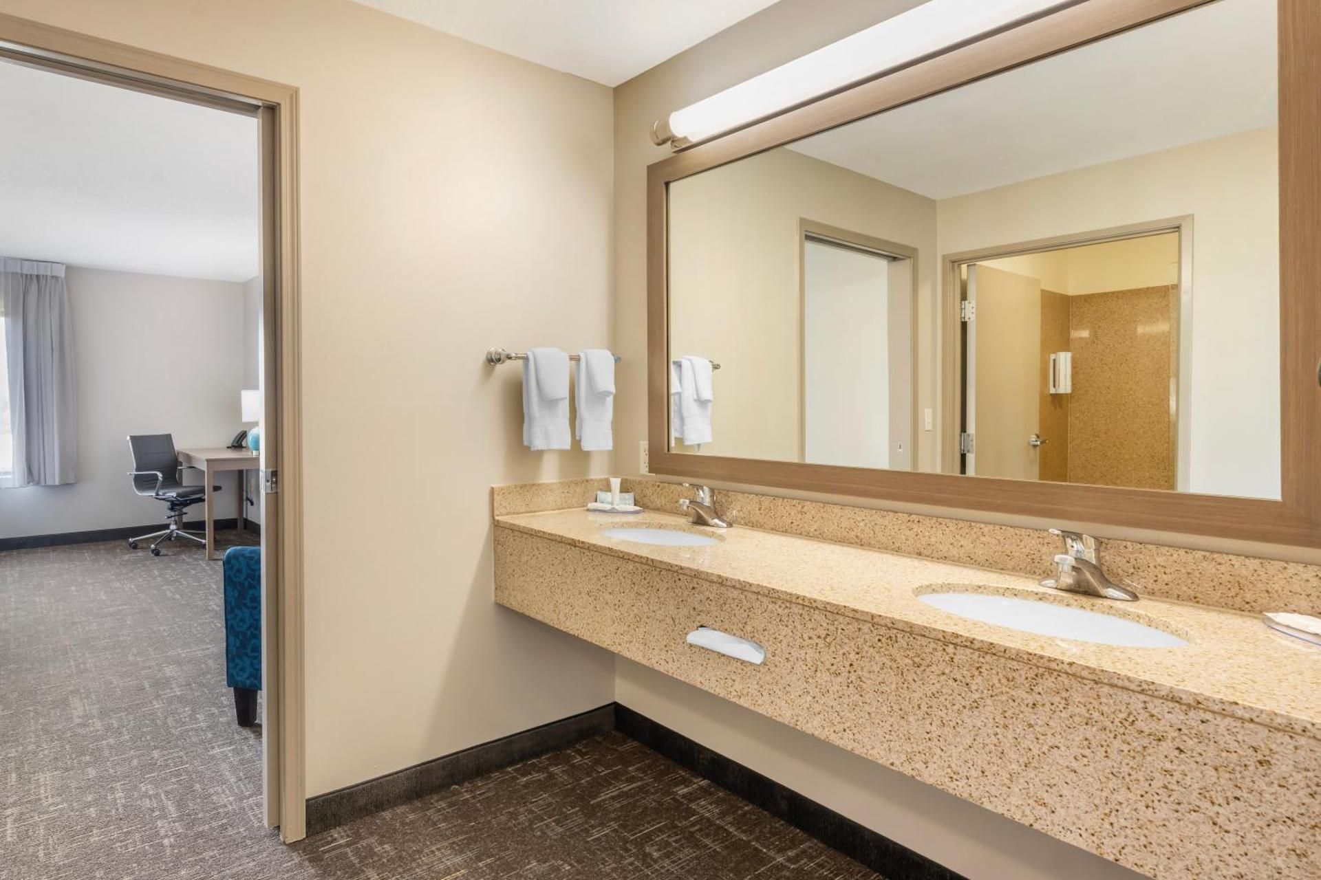 One-Bedroom Suite with One King Bed