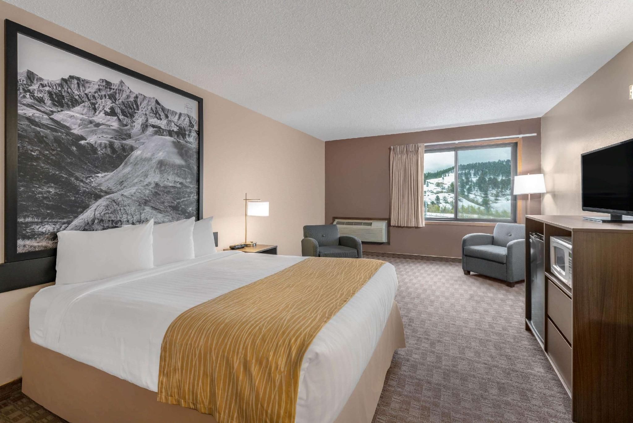 1 Queen Bed Non-Smoking