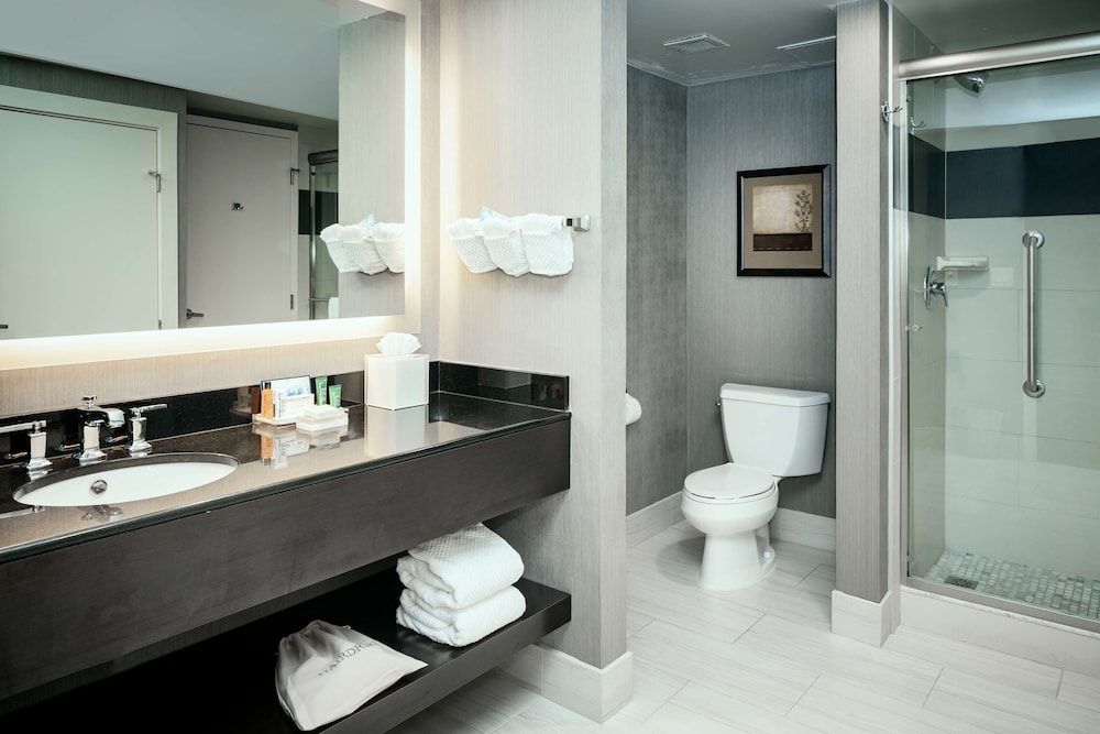 Suite, 1 King Bed