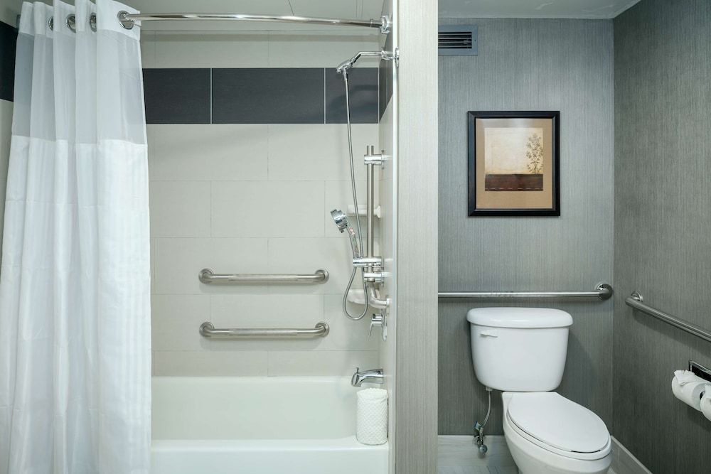 Room, 1 King Bed, Accessible, Bathtub