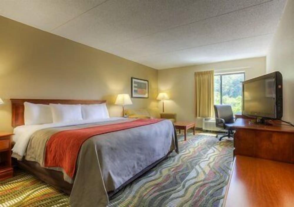 Room, 1 King Bed with Sofa bed, Accessible, Non Smoking