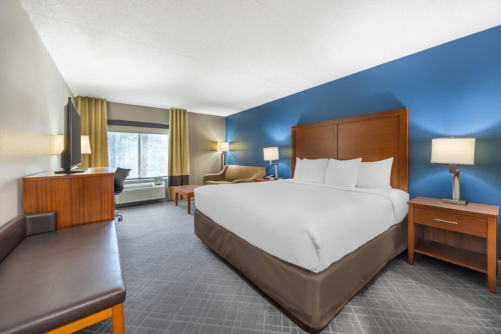 Suite, 1 King Bed with Sofa bed, Accessible, Non Smoking