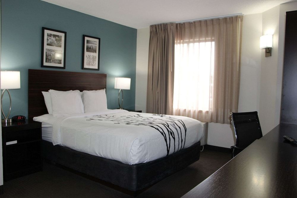 Room, 1 Queen Bed, Accessible, Non Smoking (Roll-In Shower)