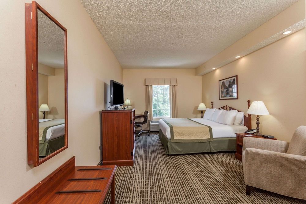 Standard Room, 1 King Bed, Non Smoking