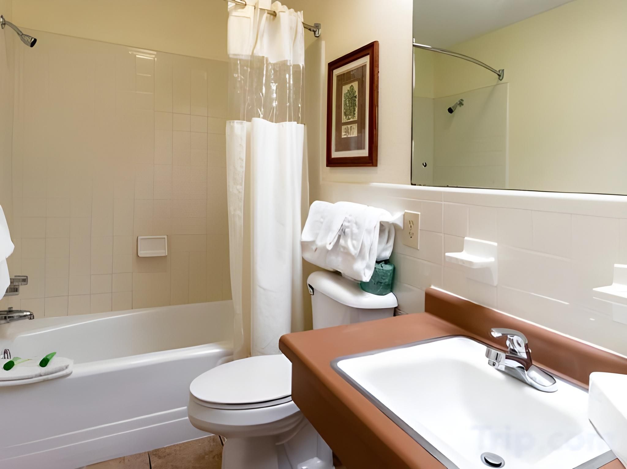 River Terrace Resort and Convention Center Standard King Guestroom 3