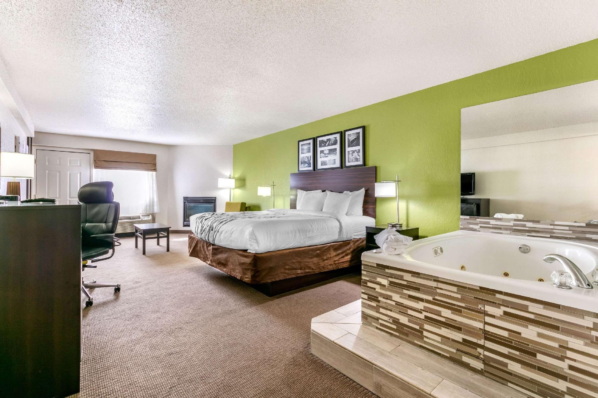 1 King Bed, Suite, Nonsmoking