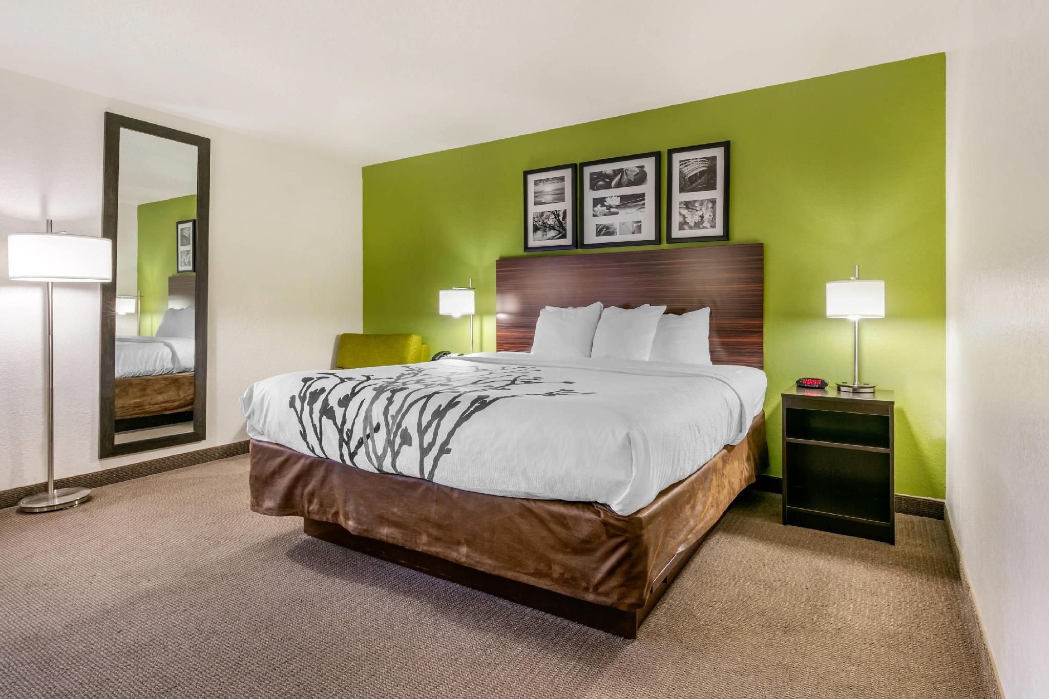 1 King Bed, Nonsmoking, Accessible