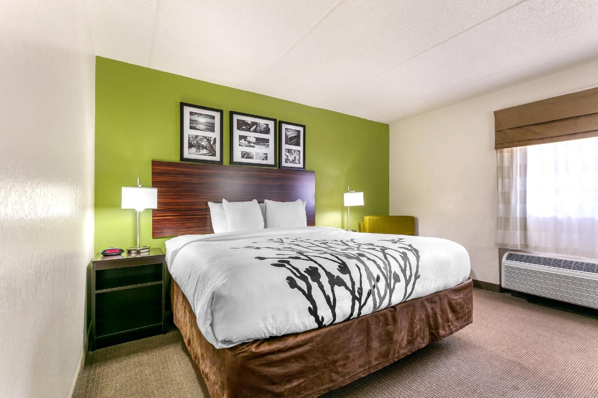 1 King Bed, Nonsmoking