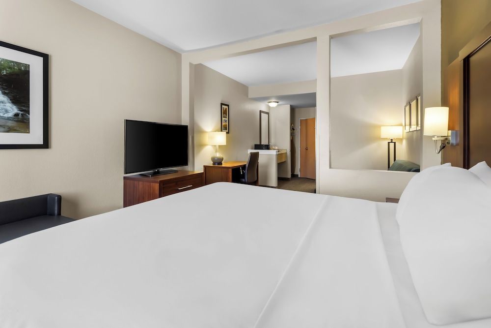 Mobility Accessible, 1 King Bed and Sofa Bed