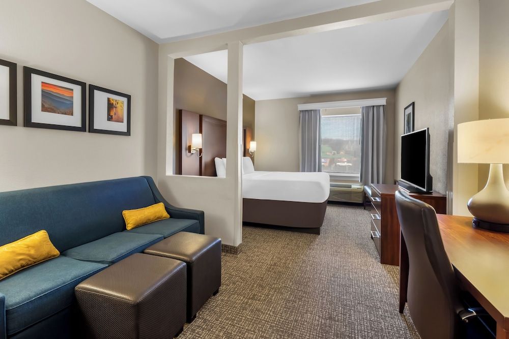 Suite, 1 King Bed and Sofa Bed