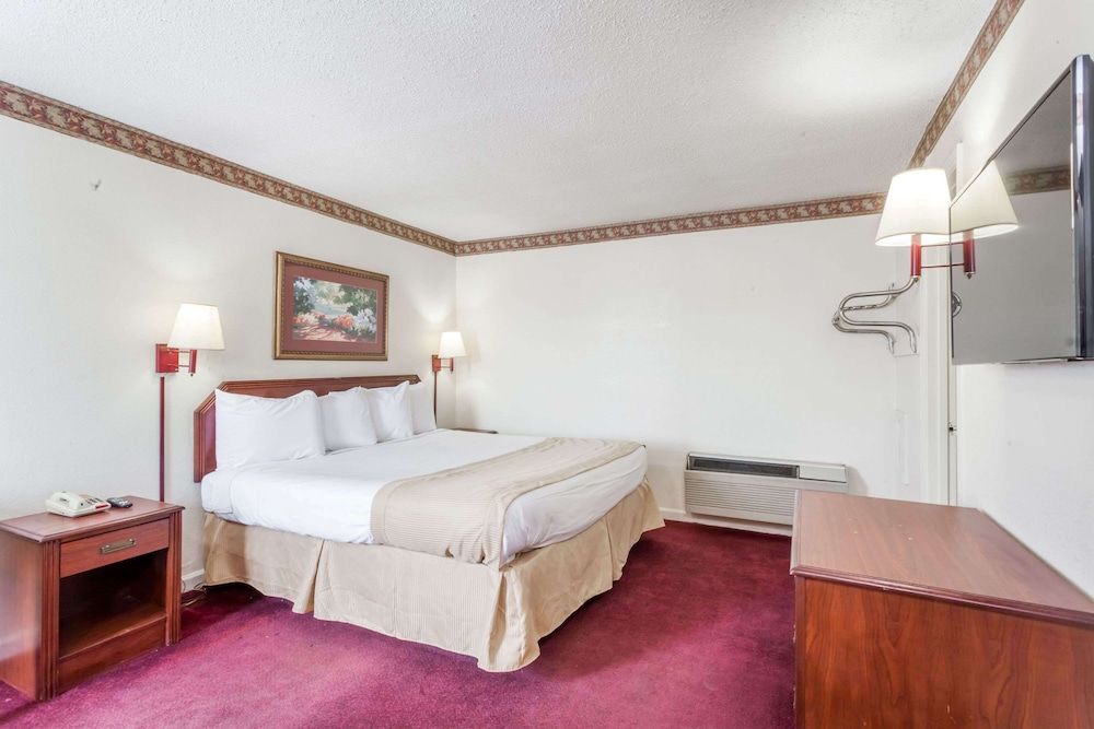 Room, 1 King Bed