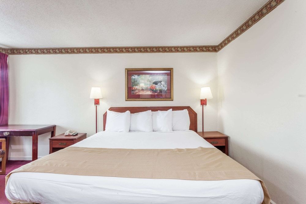 Room, 1 King Bed