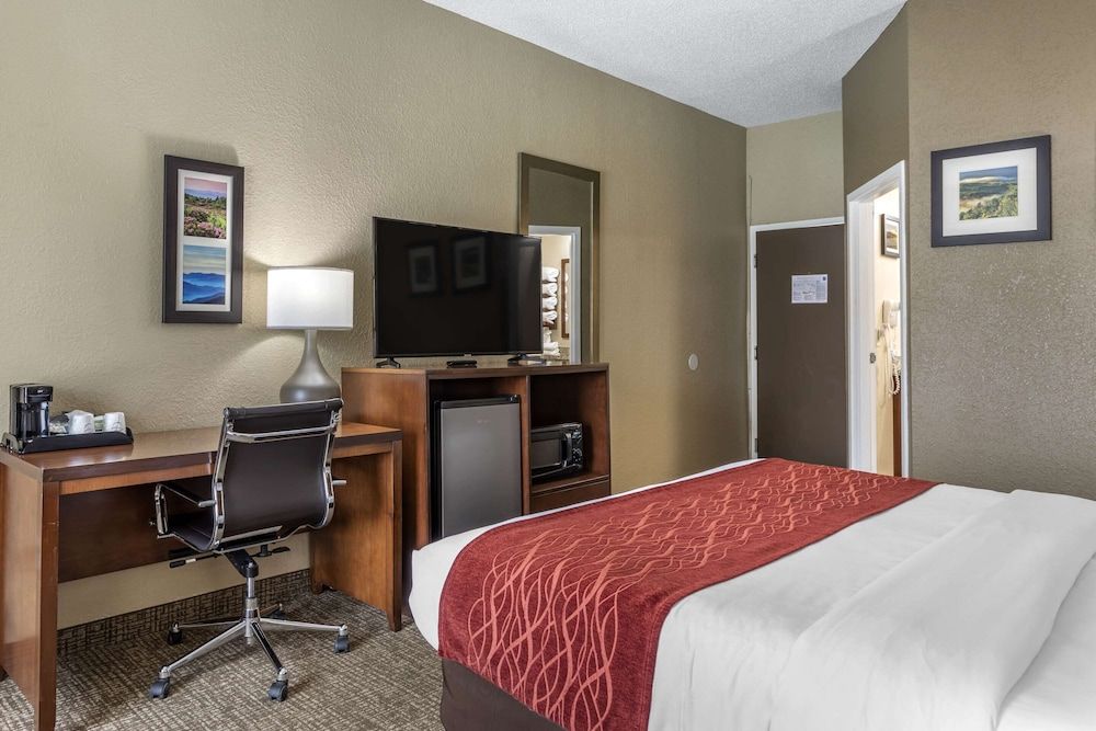 Standard Room, 1 King Bed, Non Smoking