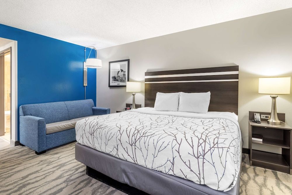 Standard Room, 1 King Bed, Accessible, Refrigerator & Microwave