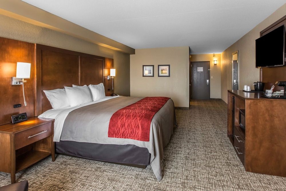 Standard Room, 1 King Bed, Non Smoking