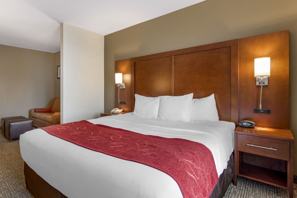 Suite, 1 King Bed with Sofa bed, Accessible, Non Smoking