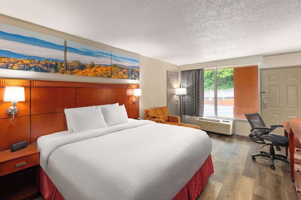 Room, 1 King Bed, Non Smoking