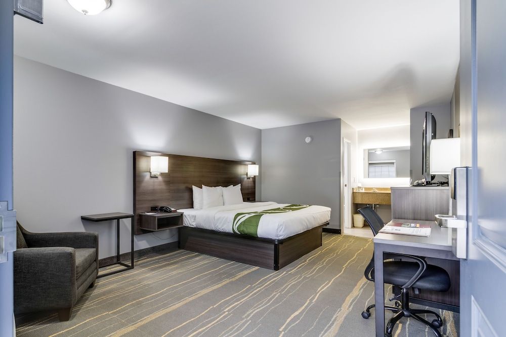 Room, 1 King Bed, Non Smoking