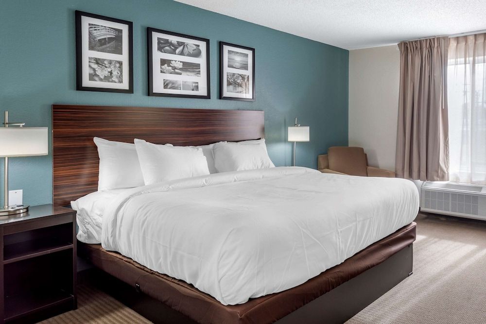 Room, 1 King Bed, Non Smoking (Efficiency, Pet Friendly)