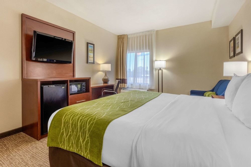 Suite, 1 King Bed with Sofa bed, Non Smoking