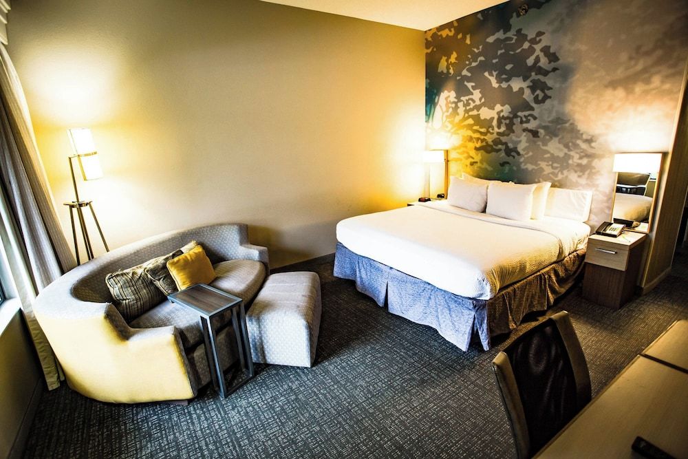 Room, 1 King Bed with Sofa bed, Non Smoking (Mobility/Hearing Accessible, Tub)