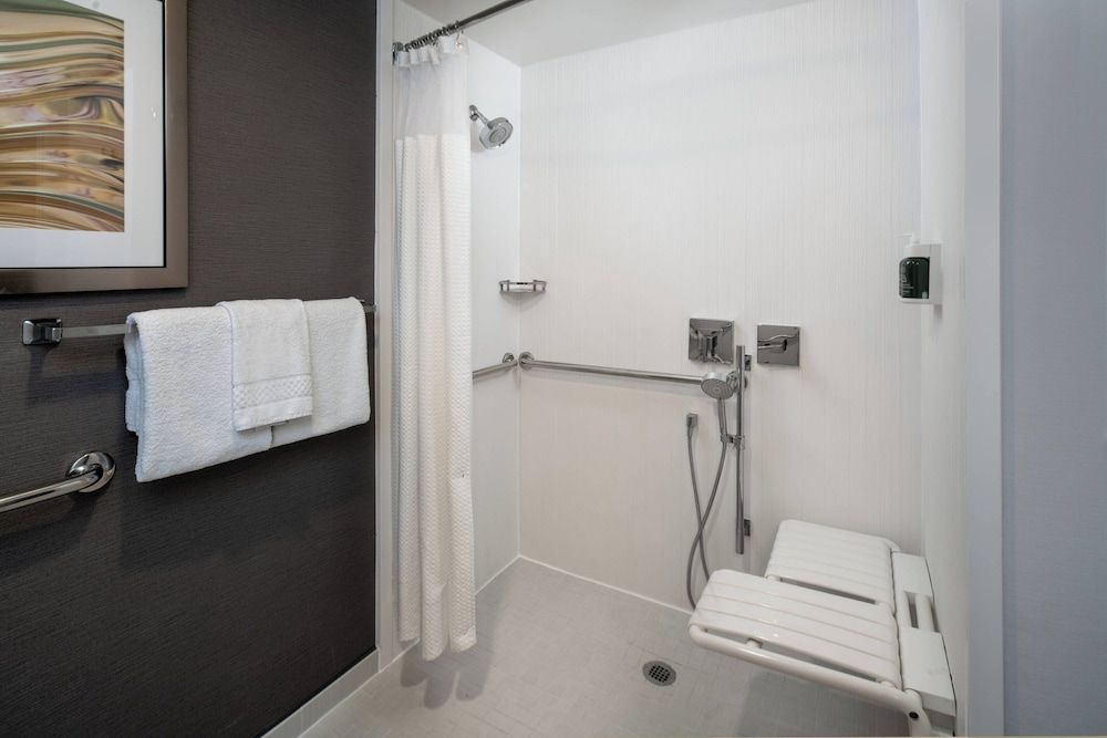 Room, 1 King Bed with Sofa bed, Non Smoking (Mobility/Hearing Access, Roll-in Shwr)