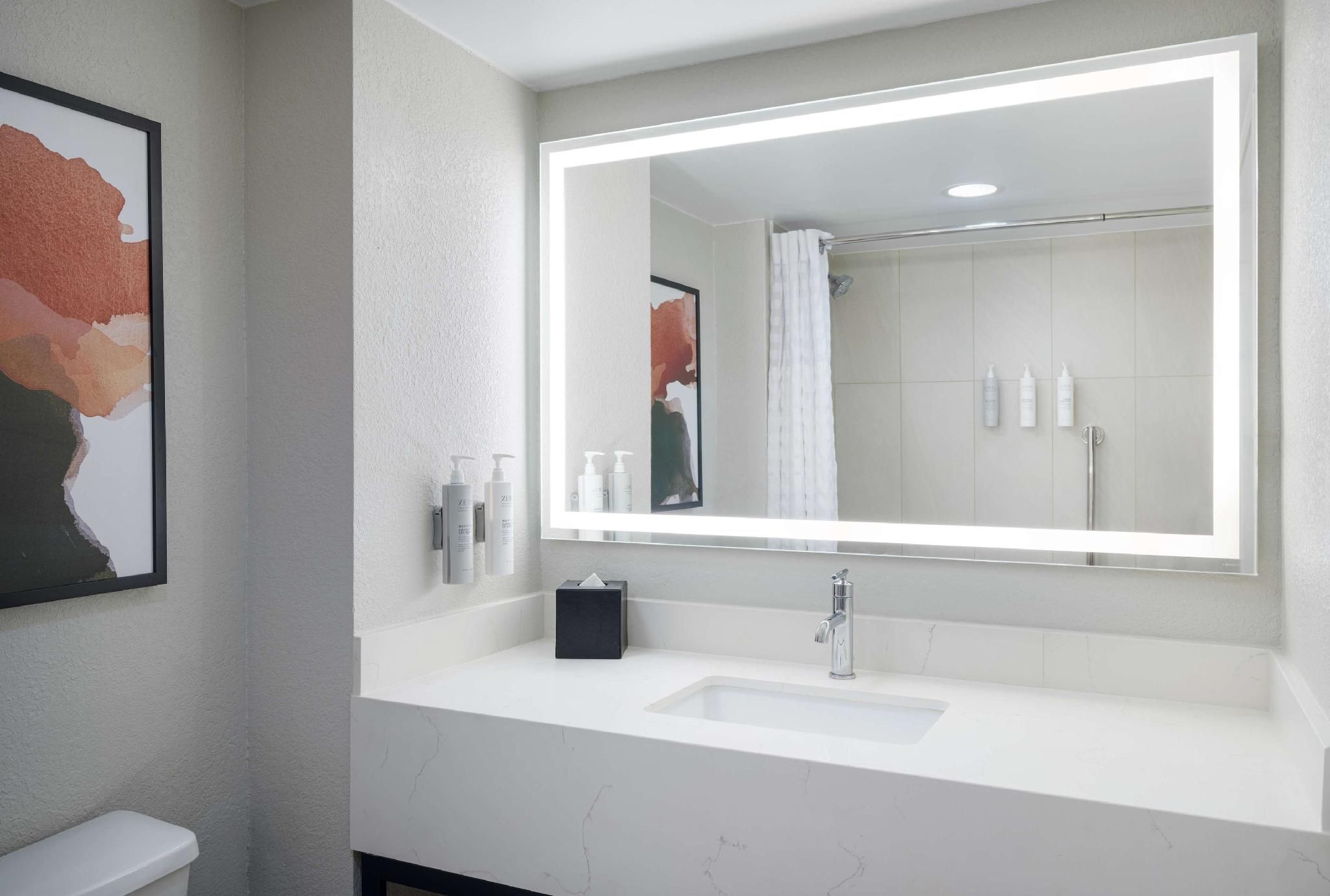 Family Suite-2 Bedroom/2 Bath-1 King/2 Dbls