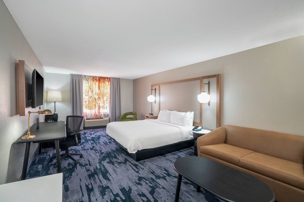 Room, 1 King Bed with Sofa bed