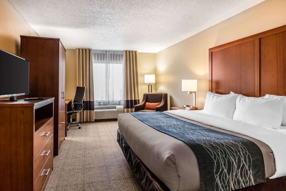 Suite, 1 King Bed with Sofa bed, Accessible, Non Smoking