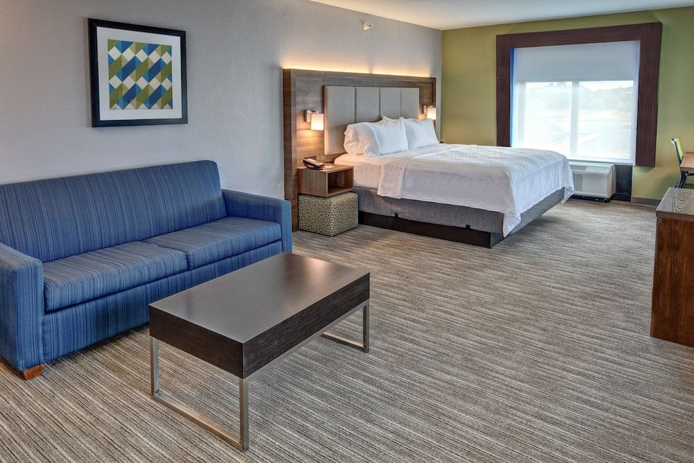 Suite, 1 King Bed with Sofa bed