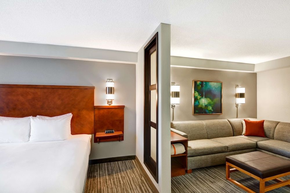 Room, 1 King Bed with Sofa bed (High Floor)