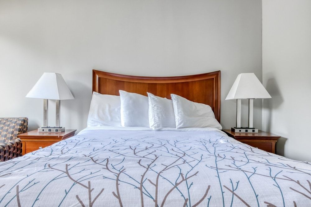 Room, 1 King Bed, Accessible